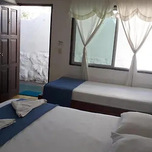 Darwin Maison d'hôtes Puerto Ayora (Galapagos Islands)