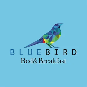 blue-bird-bed-and-breakfast.cuenca-hotels.com/